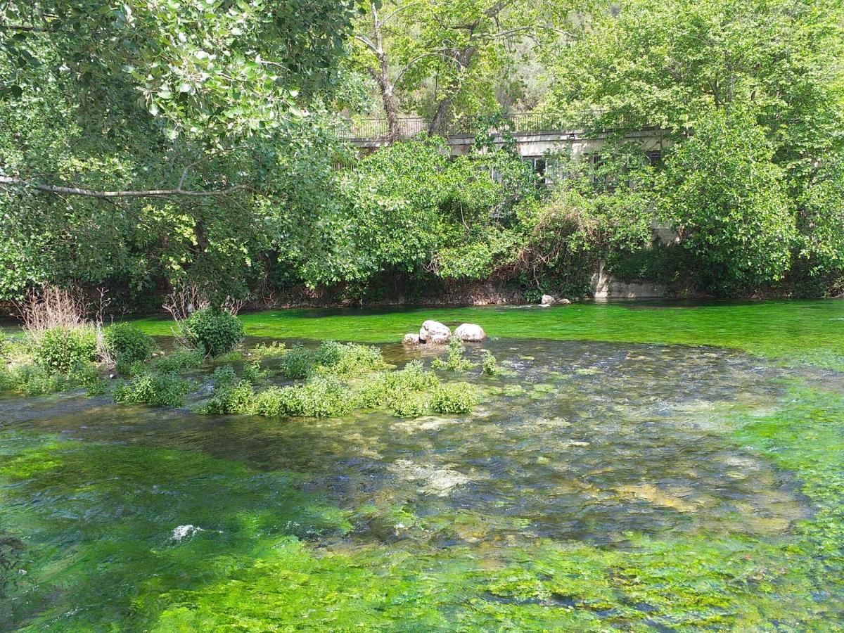 Maison Au Coeur De Fontaine De Vaucluse, Nichee Sur Le Rocher Et Surplombant La Sorgue מראה חיצוני תמונה